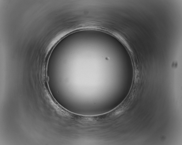 X0000111811101200907231228
