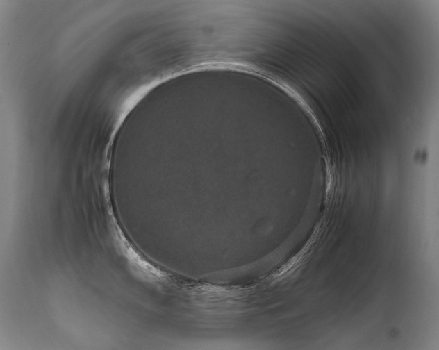 X0000111811102200907231228