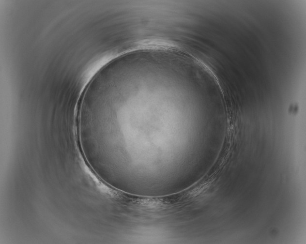 X0000111811103200907231228