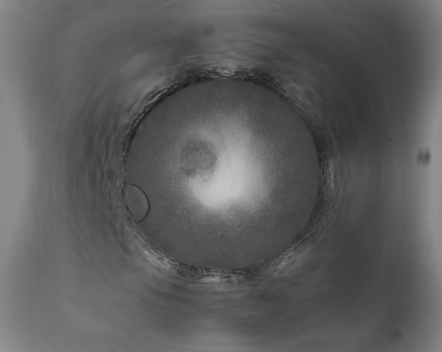 X0000111811105200907231227