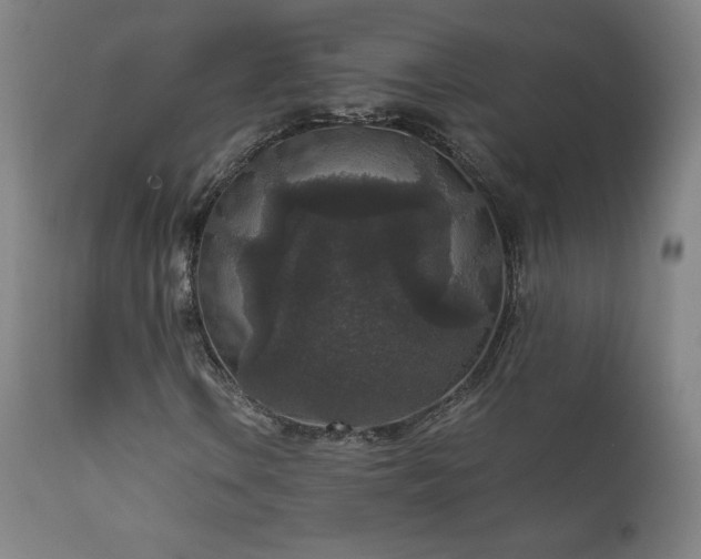 X0000111811106200907231227