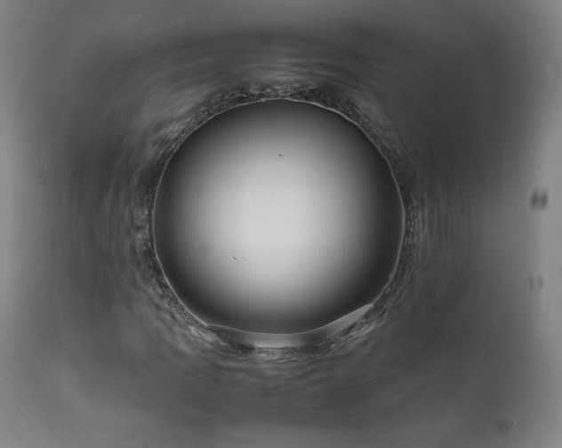 X0000111811109200907231227