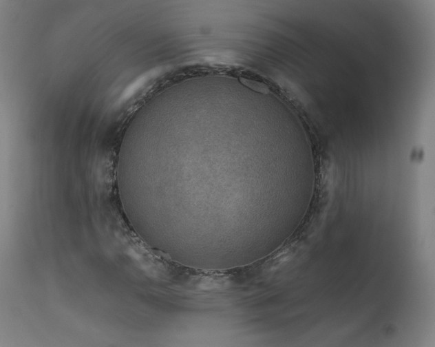 X0000111811110200907231228