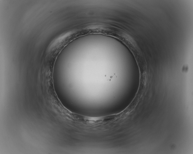 X0000111811111200907231228