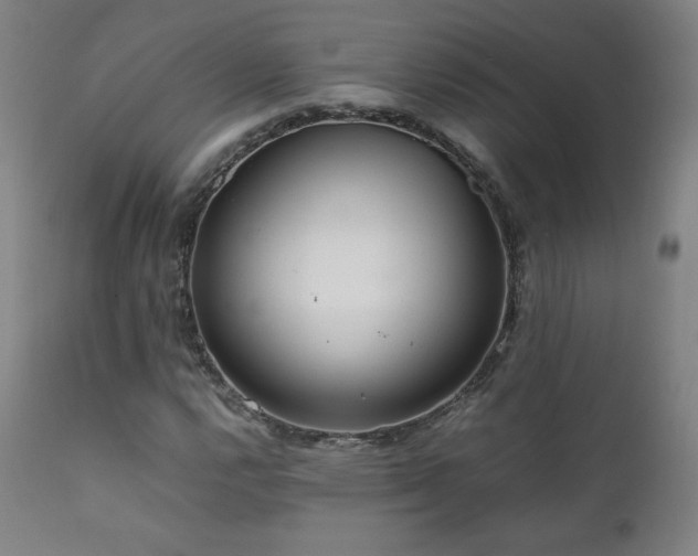 X0000111811112200907231228