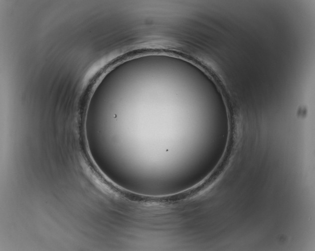 X0000111811114200907231228