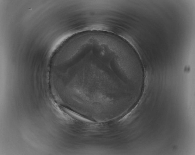 X0000111811115200907231228