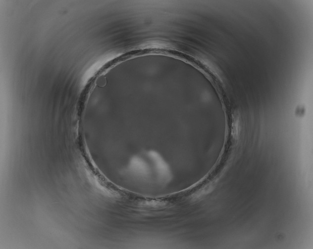 X0000111811117200907231228
