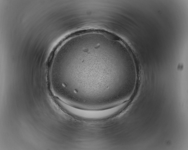 X0000111811118200907231228