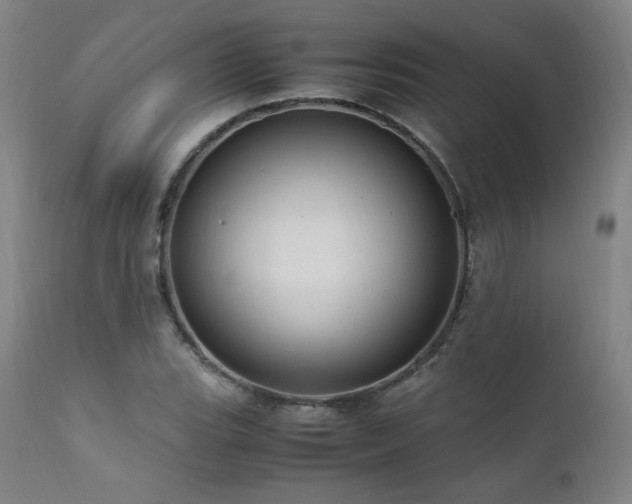 X0000111811119200907231228