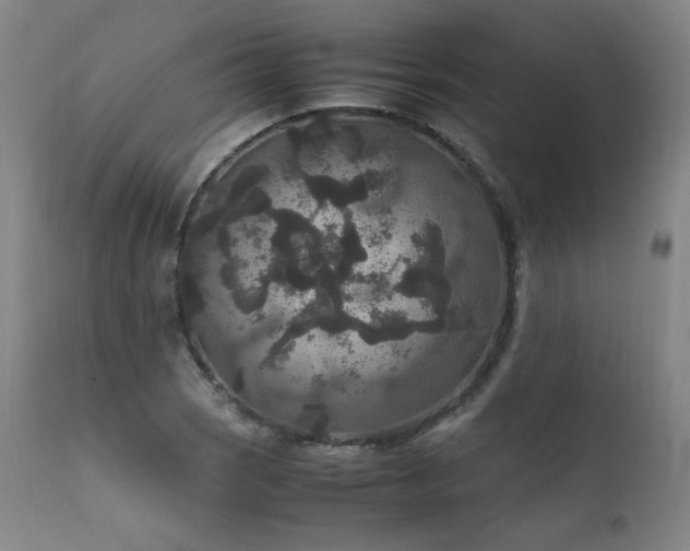 X0000111811121200907231228