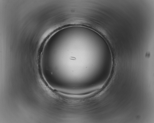 X0000111811122200907231228