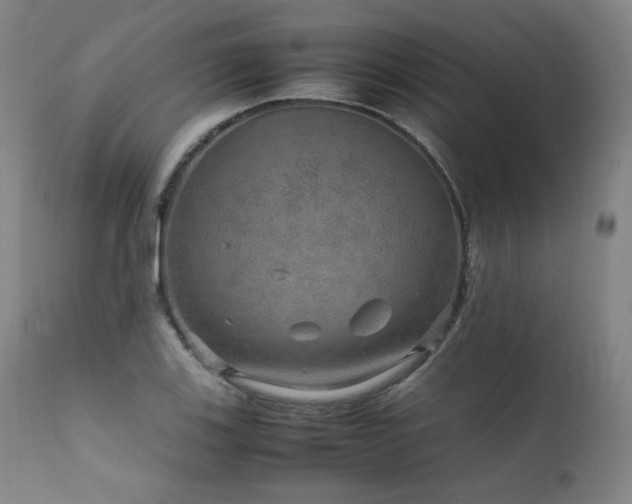X0000111811123200907231228