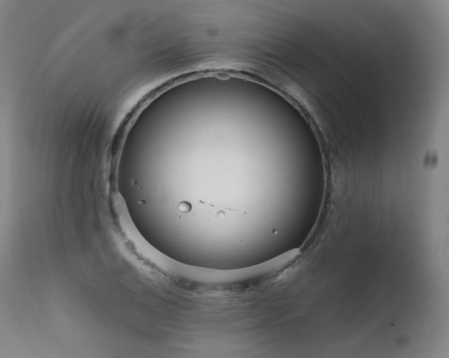 X0000111811124200907231228