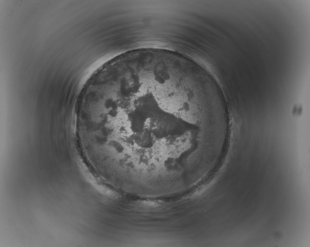 X0000111811125200907231228