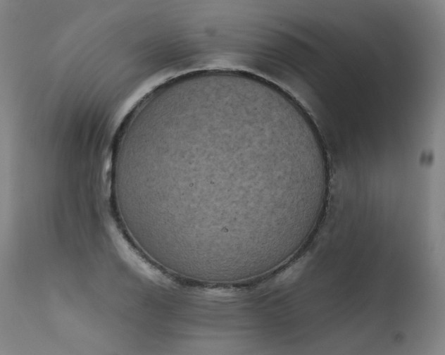 X0000111811126200907231228
