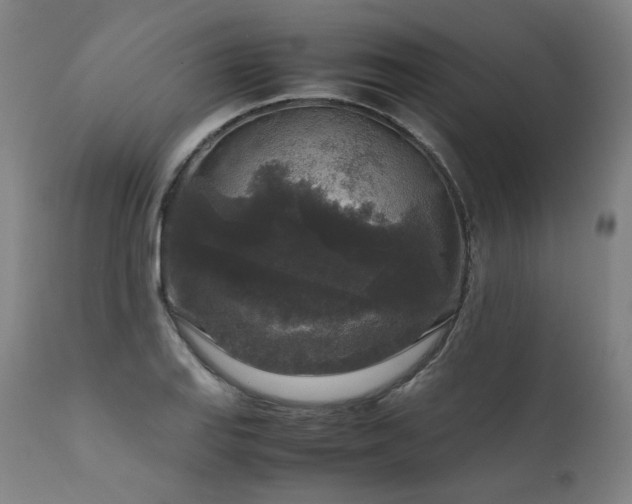 X0000111811127200907231228