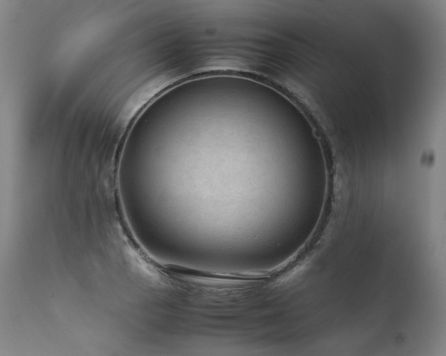 X0000111811129200907231228