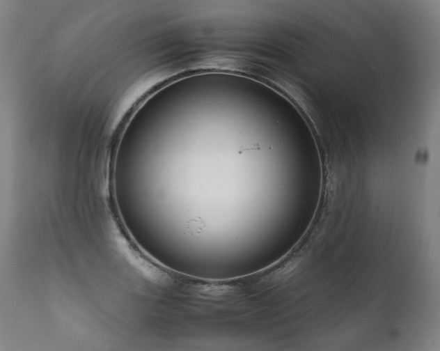 X0000111811131200907231228
