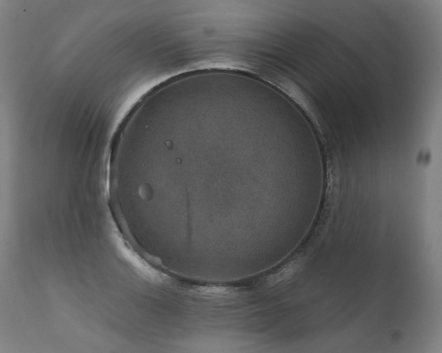 X0000111811132200907231228