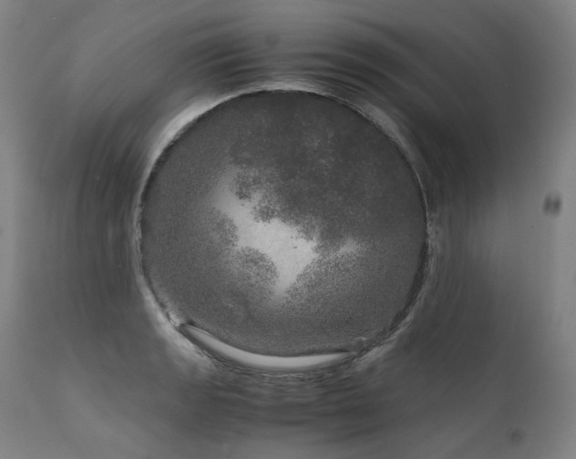 X0000111811133200907231228