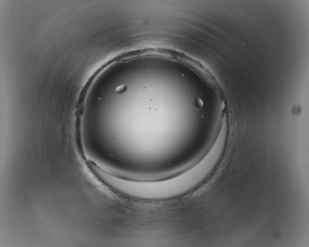 X0000111811134200907231228