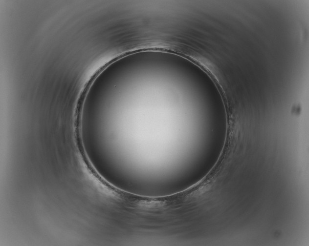 X0000111811135200907231228