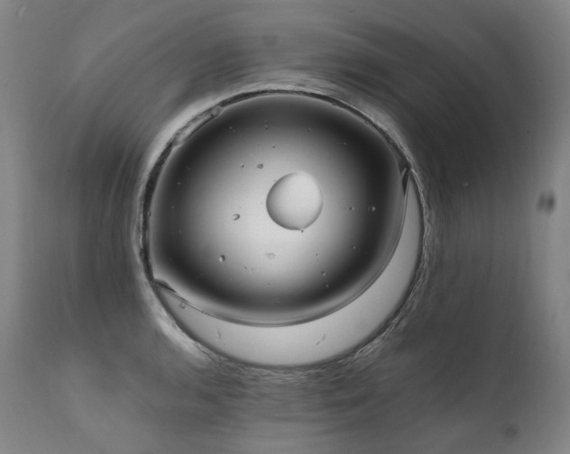 X0000111811136200907231228