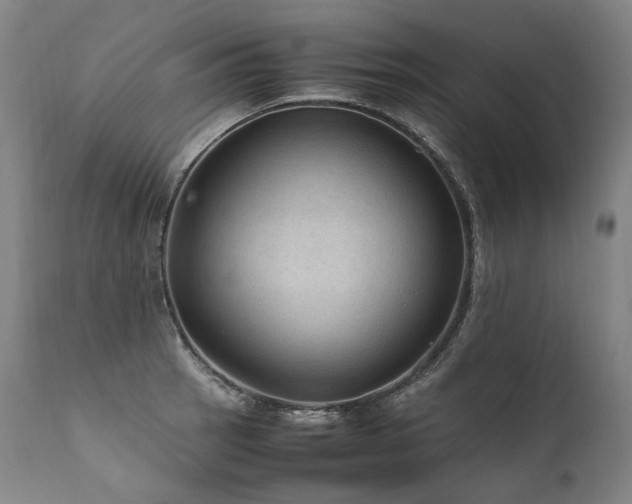 X0000111811137200907231228