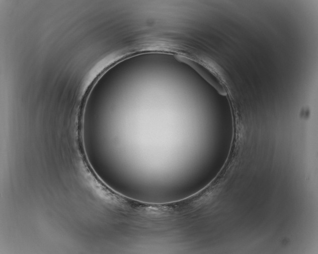 X0000111811138200907231228