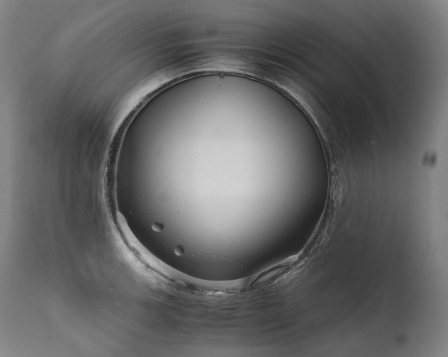 X0000111811139200907231228