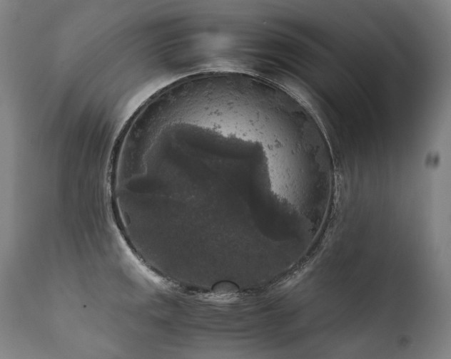 X0000111811141200907231228