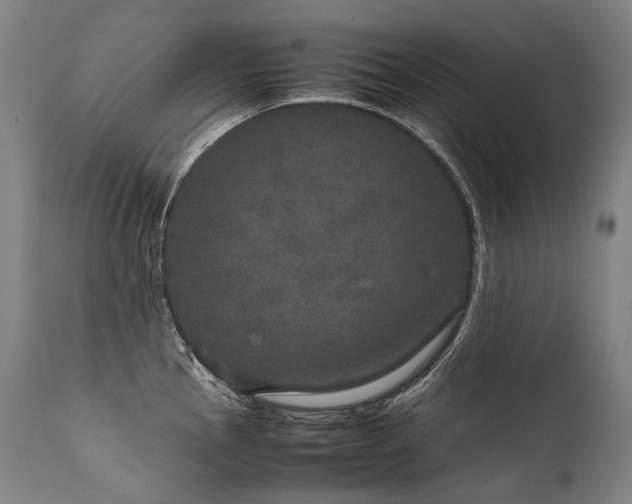 X0000111811145200907231228