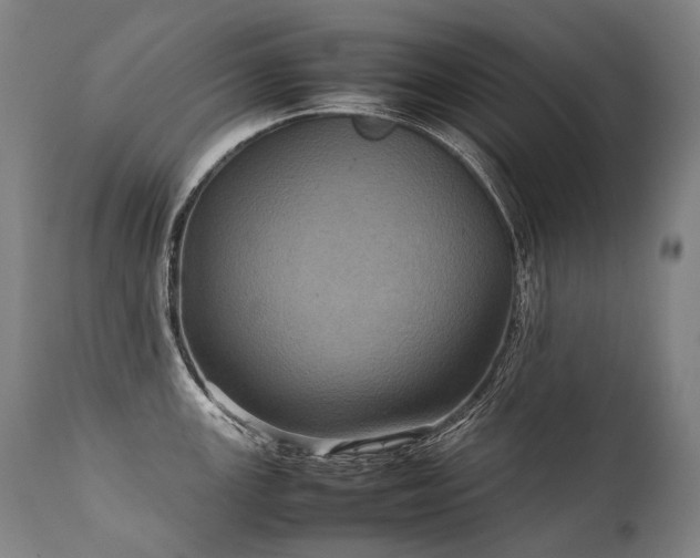 X0000111811147200907231228