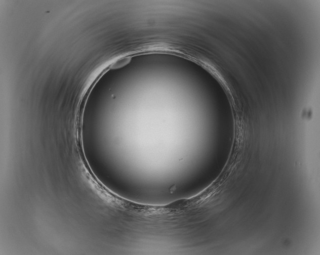X0000111811148200907231228
