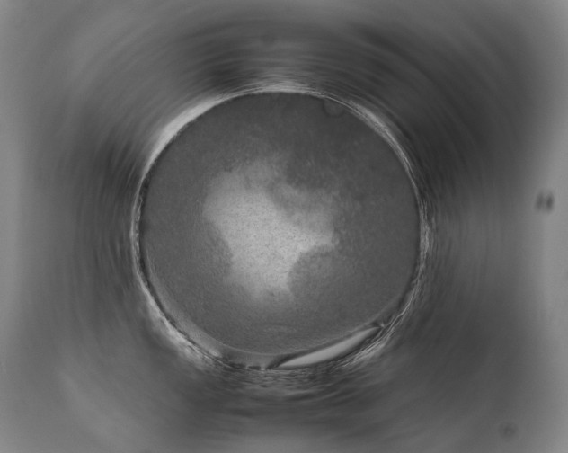 X0000111811149200907231228