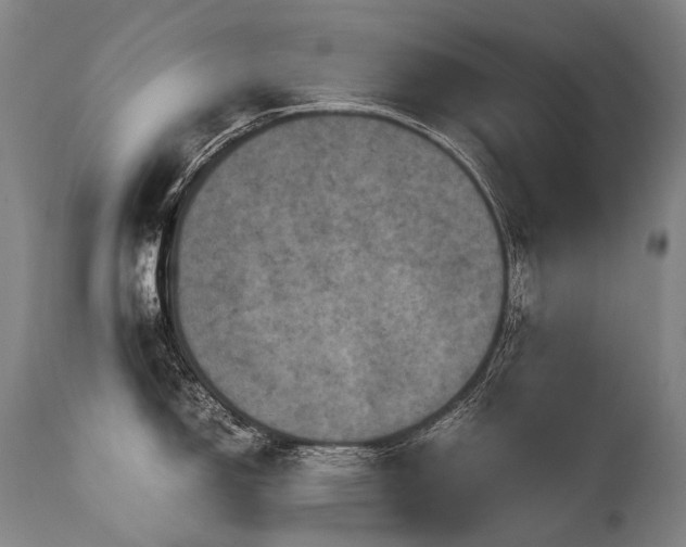 X0000111811150200907231228