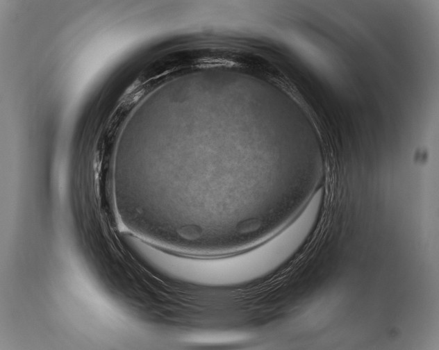 X0000111811151200907231228