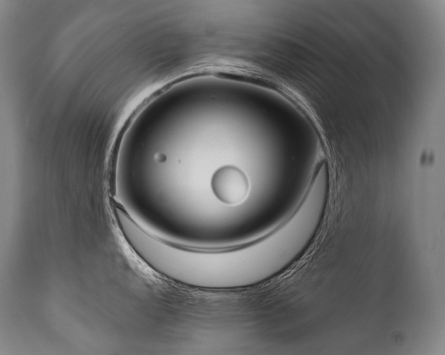 X0000111811152200907231228