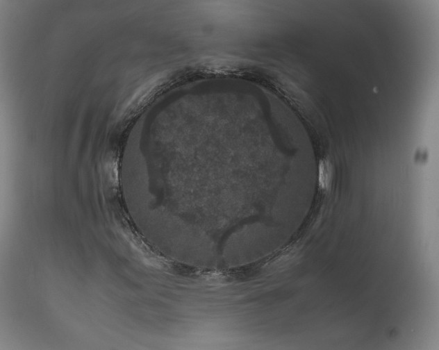 X0000111811155200907231227