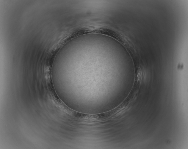 X0000111811156200907231227