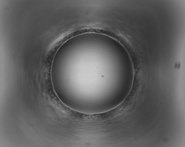 X0000111811159200907231227