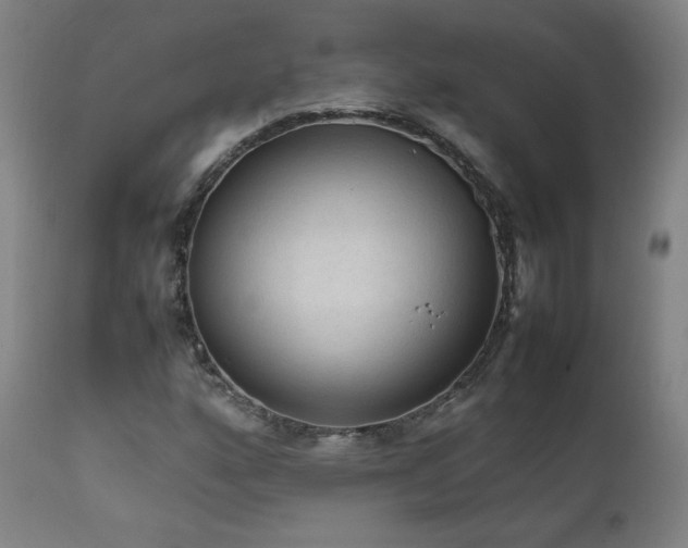 X0000111811160200907231227