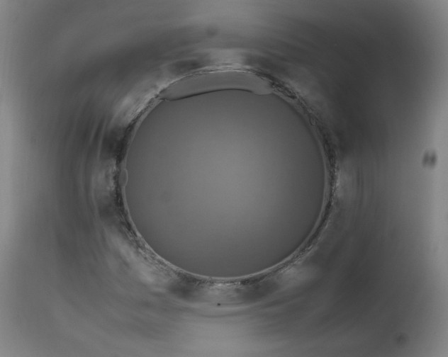 X0000111811161200907231227