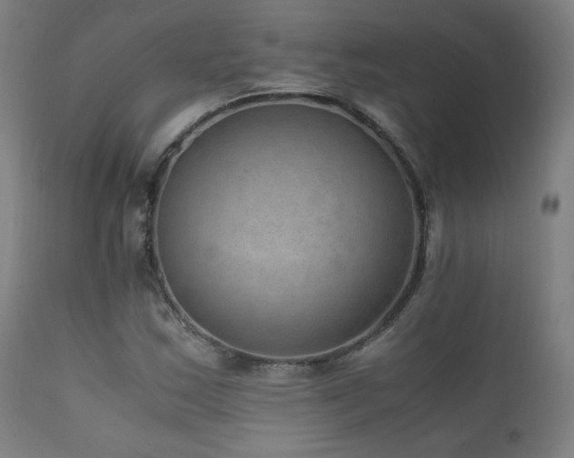 X0000111811163200907231227