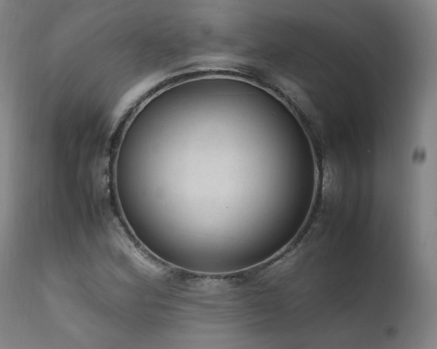 X0000111811164200907231227