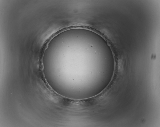 X0000111811165200907231227