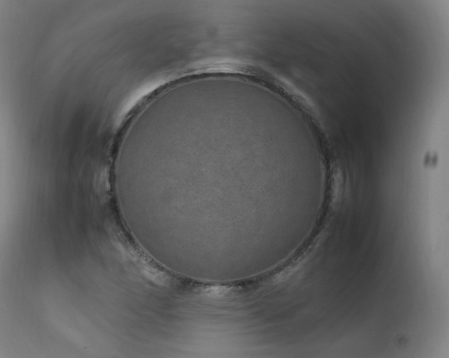 X0000111811166200907231227