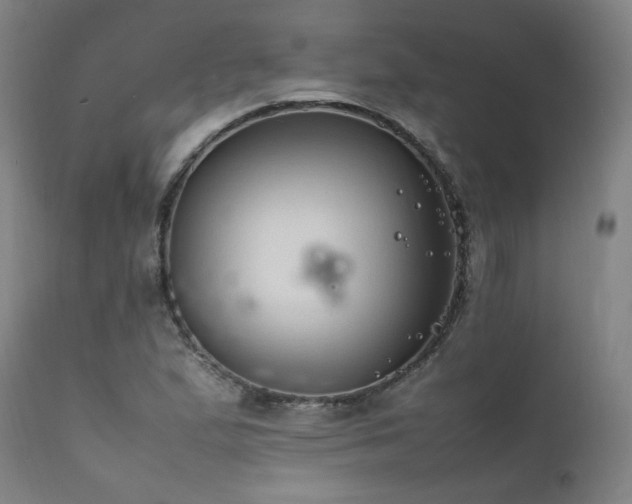 X0000111811167200907231227
