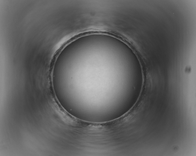X0000111811168200907231227